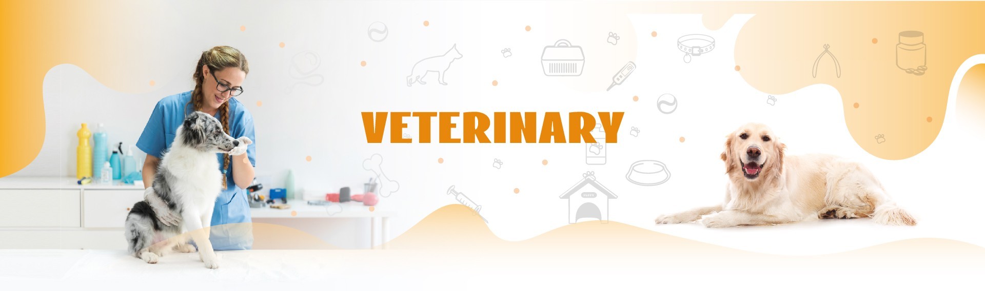 calidad Equipo rápido veterinario de la prueba Servicio